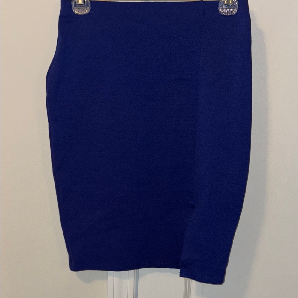 Elegant Blue Women's Skirt